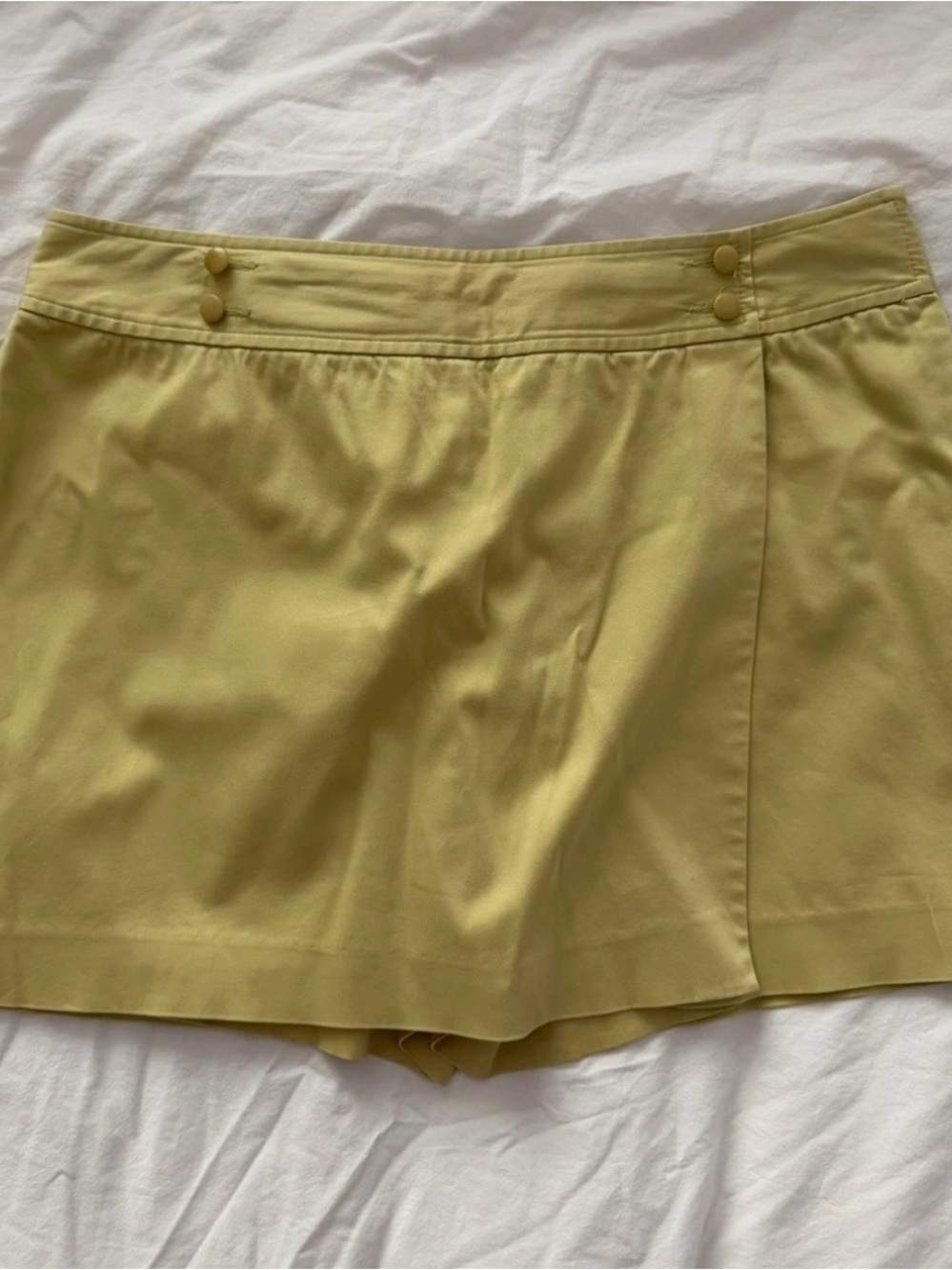 Ann Taylor Petites Light Green Skort 10P Athletic Golf Tennis Stretch Zip